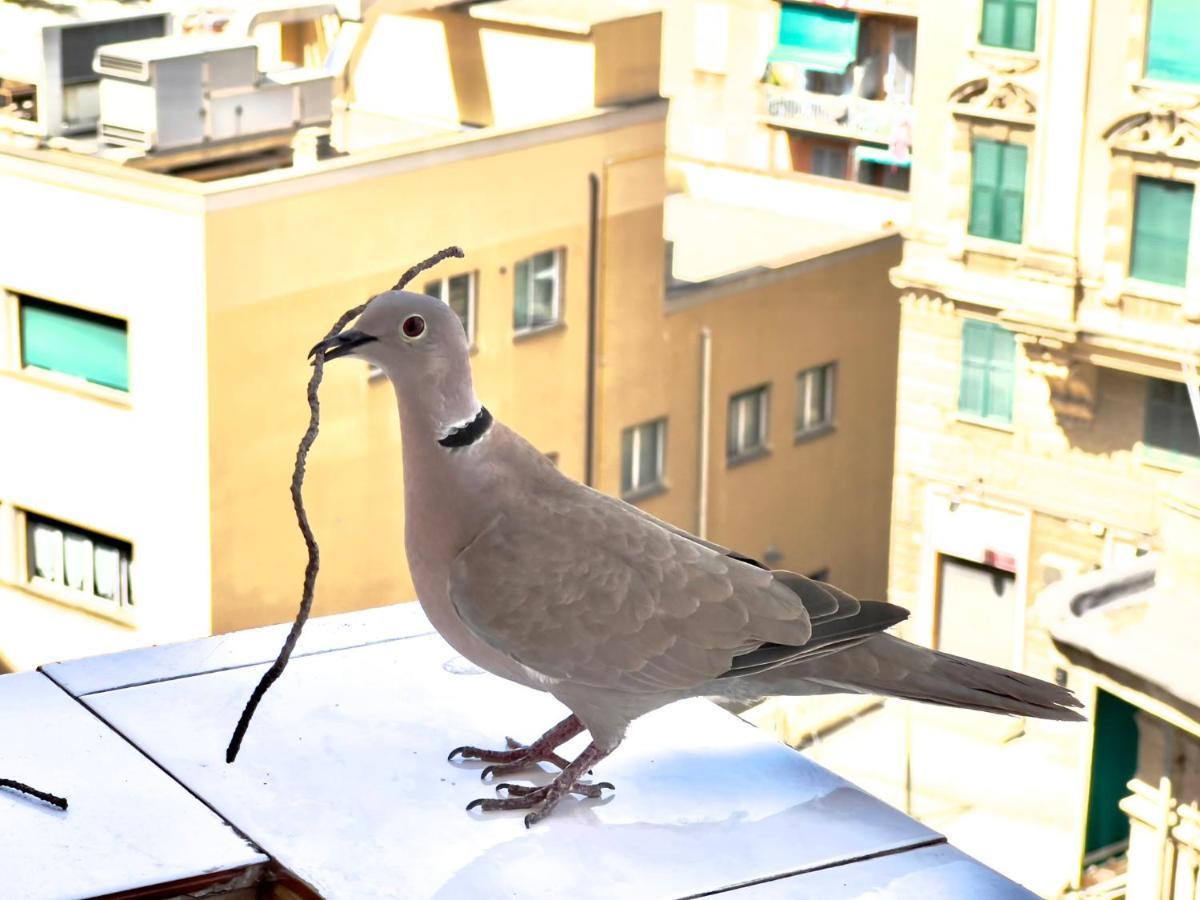 Appartement Sweet Nel Cuore Di *